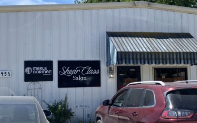 Merle Norman Cosmetics at Shear Class 