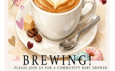 Hosted by Stacy Wright Neosho County Health Dept./ Community Baby Shower- June 11, 4-6 p.m. @ SEK Impact Center.