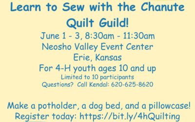 Southwind Extension District is hosting a learn to sew, then you need to be in Erie June 1st thru 3rd! Learn how to use a sewing machine class.
